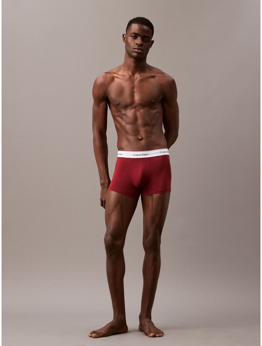 Pack De 5 Boxer Trunk - Modern Cotton Holiday