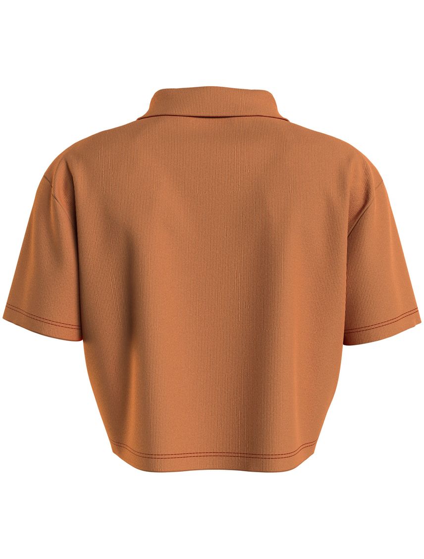 Camiseta Naranja Cropped Tipo Polo