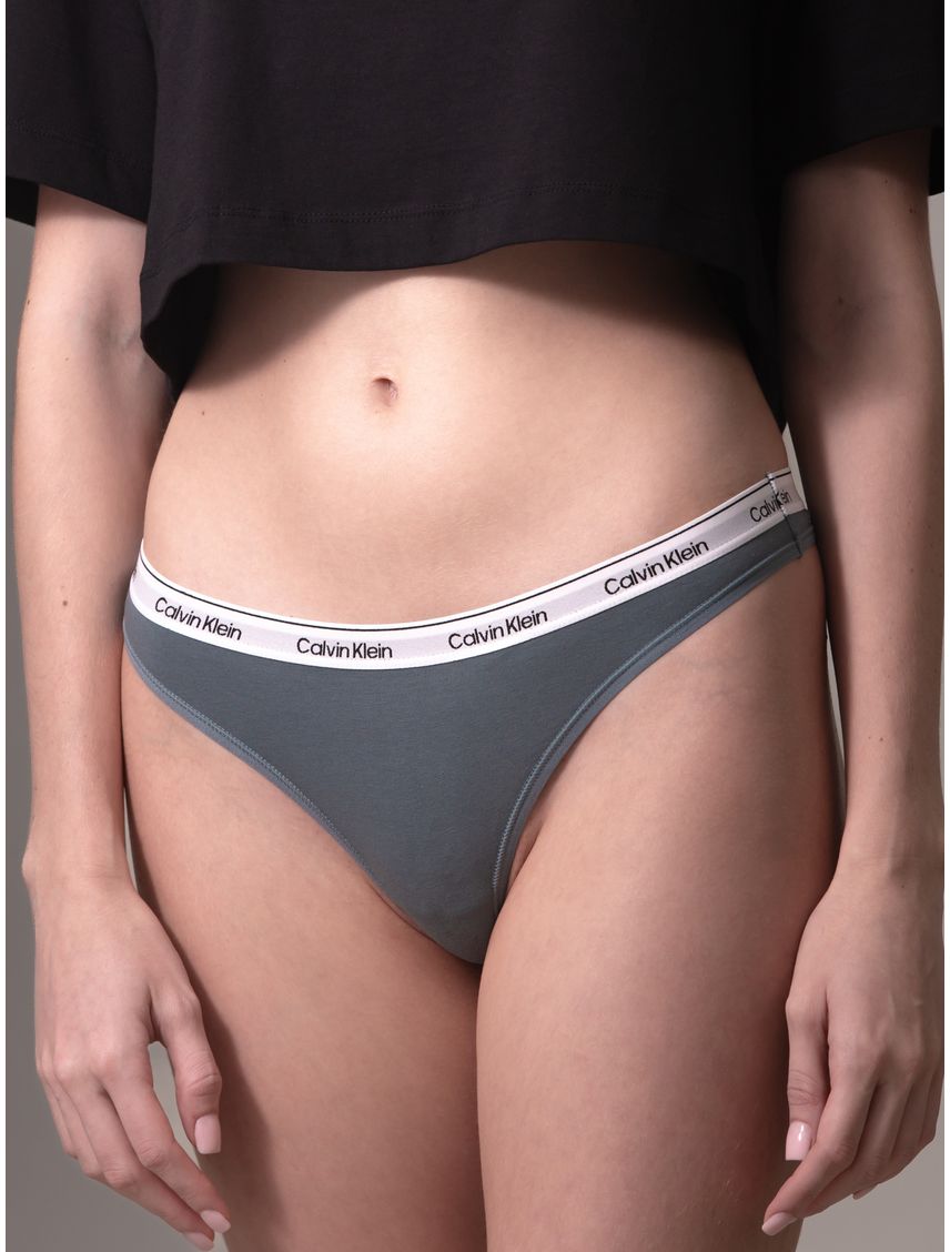 Pantie Gris Tipo Tanga - Modern Logo