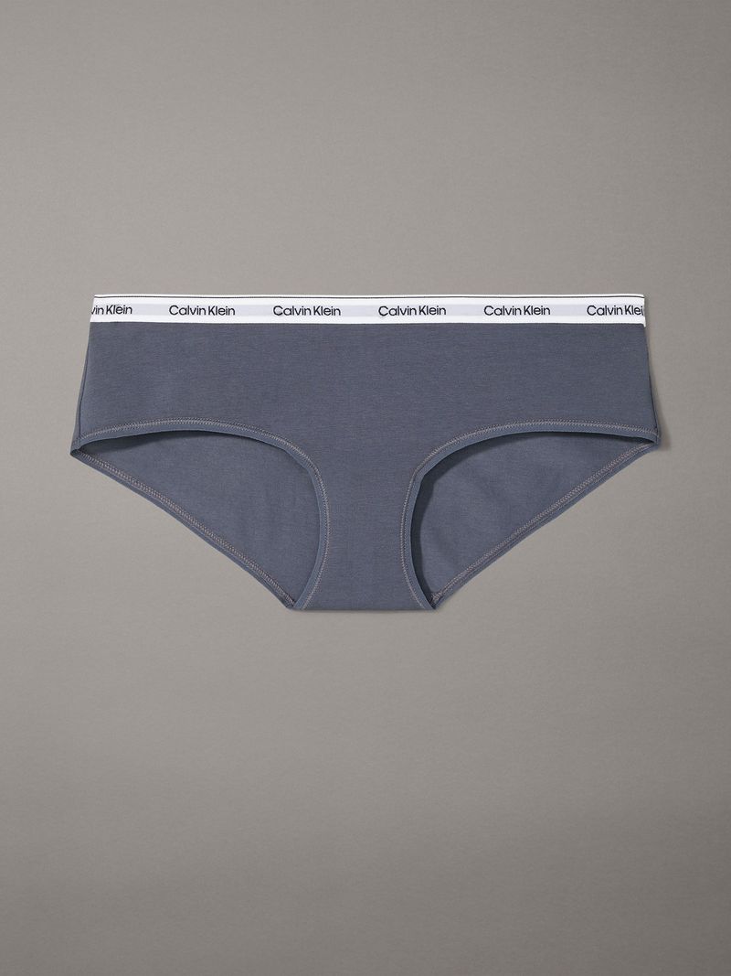 panty-azul-hipster-modern-logo