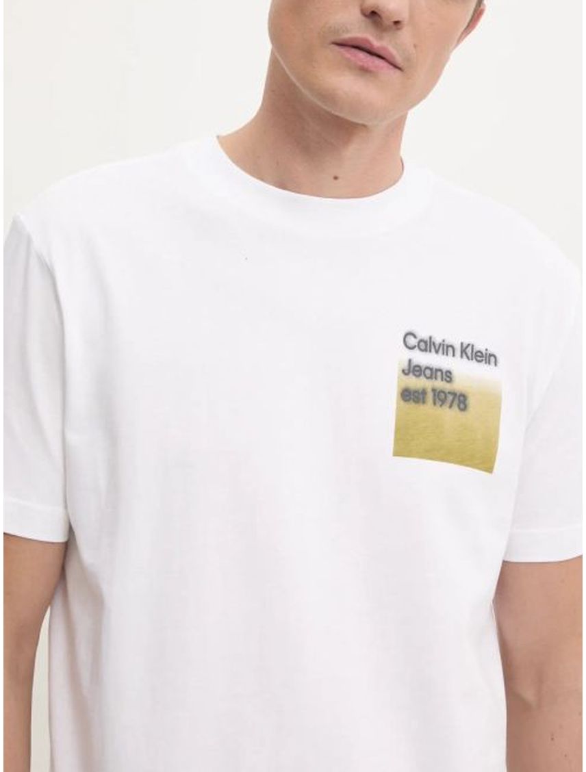 Camiseta blanca con logo difuminada en caja