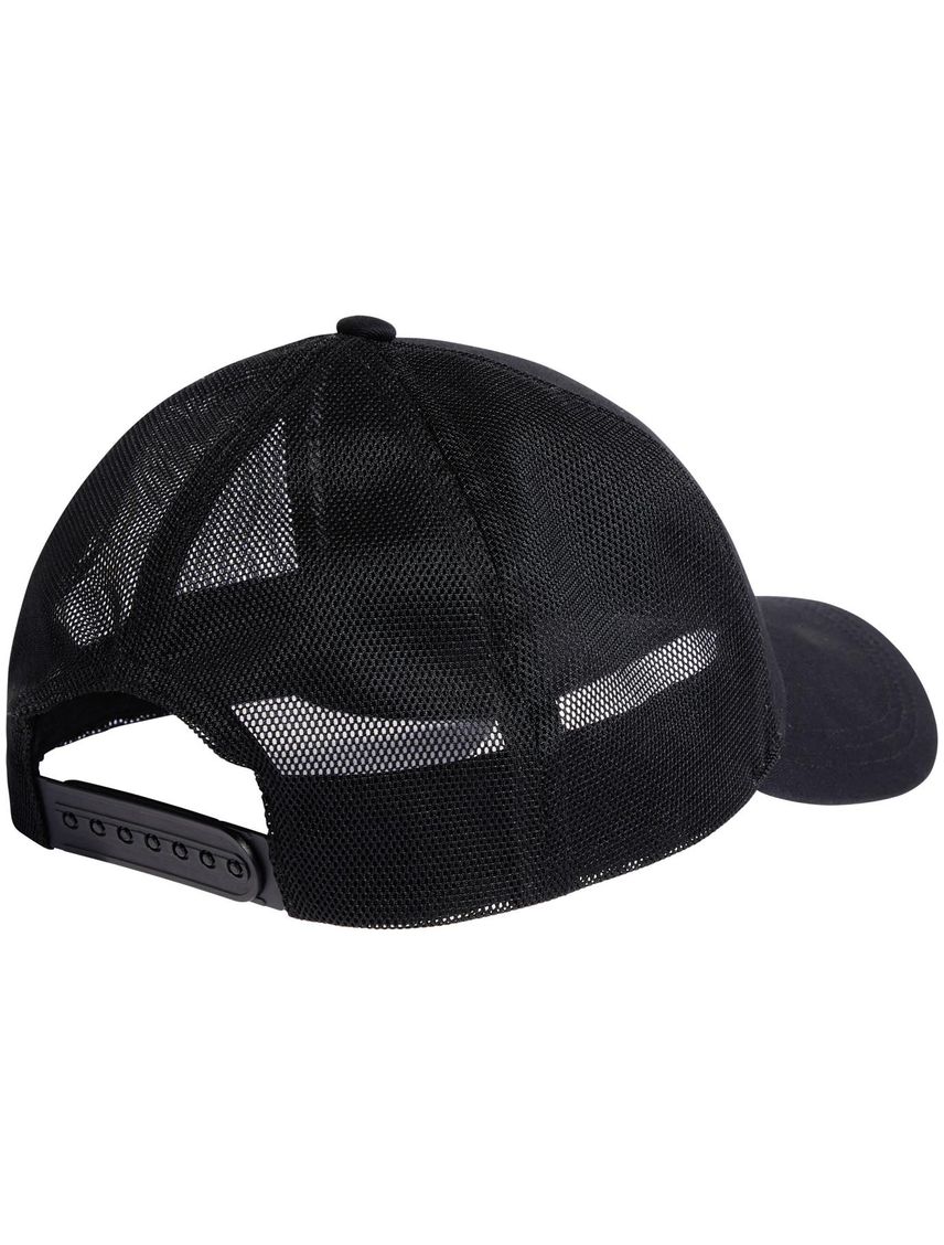 Gorra Negro Con Visera Curva